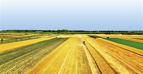 20210831_162053_107153.jpg 20210831_162053_107153.jpg